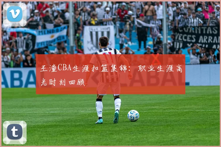 王潼CBA生涯扣篮集锦：职业生涯高光时刻回顾