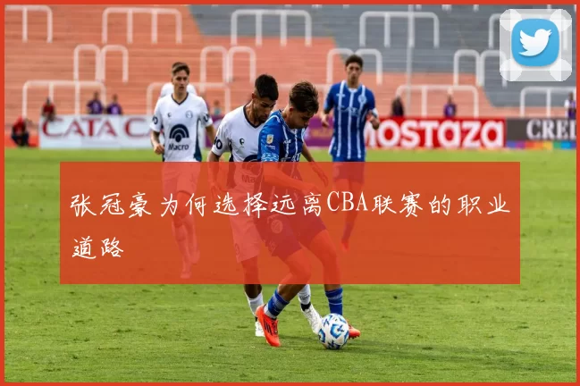 张冠豪为何选择远离CBA联赛的职业道路