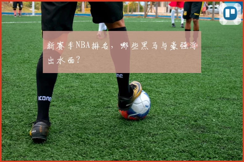 新赛季NBA排名，哪些黑马与豪强浮出水面？