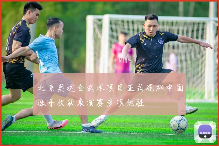 北京奥运会武术项目正式亮相中国选手收获表演赛多项优胜