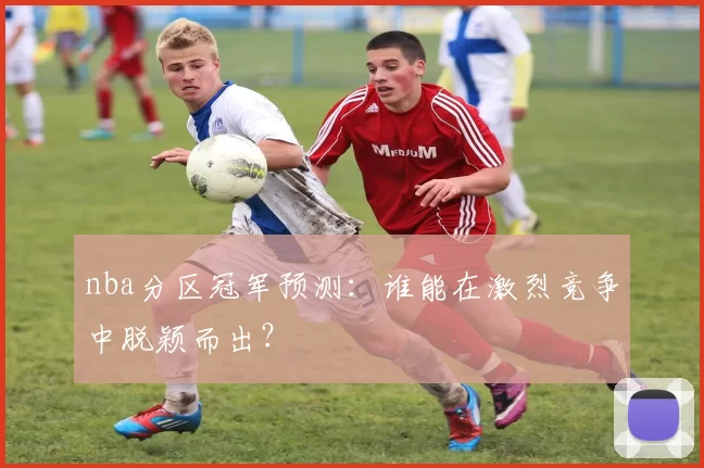 nba分区冠军预测：谁能在激烈竞争中脱颖而出？