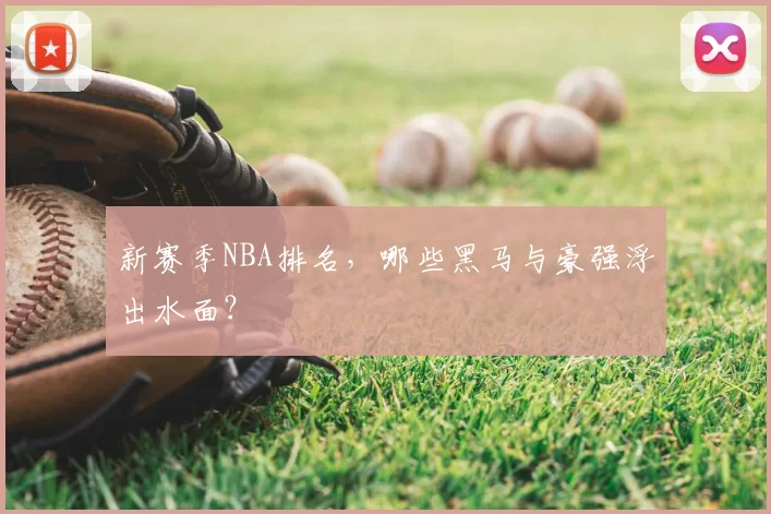 新赛季NBA排名，哪些黑马与豪强浮出水面？