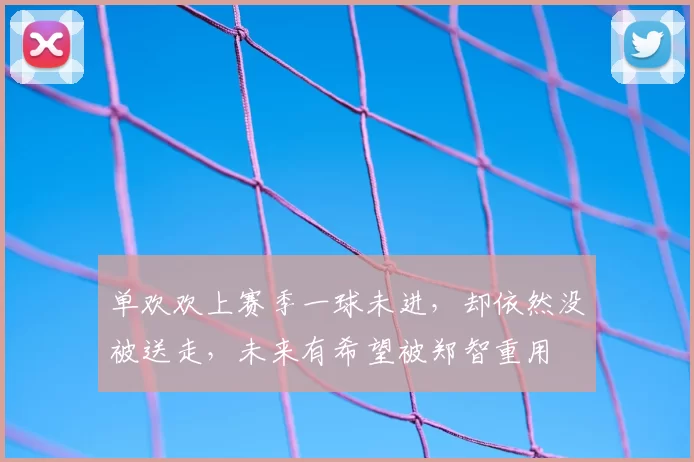 单欢欢上赛季一球未进，却依然没被送走，未来有希望被郑智重用