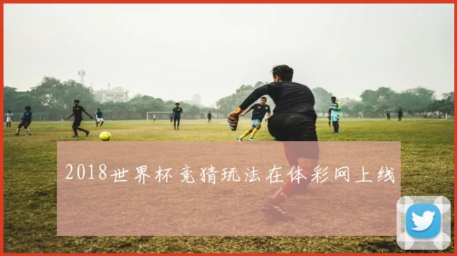 2018世界杯竞猜玩法在体彩网上线
